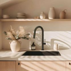Grifo mezclador de cocina Quadri Brighton negro mate con caño extraíble con rociador 1208956106