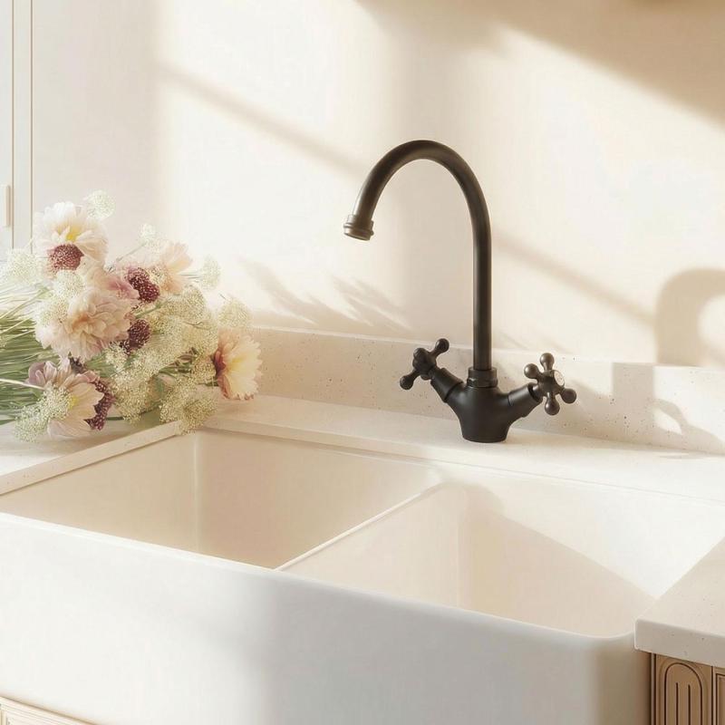 Aquanello Heritage Ascot Grifo de cocina clásico y nostálgico, negro con caño redondo BL-4003-HA